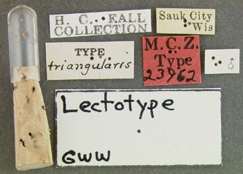 Media type: image;   Entomology 23962 Aspect: labels